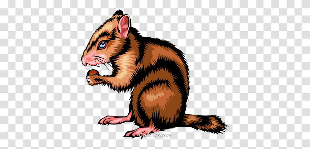 Chipmunk Royalty Free Vector Clip Art Illustration, Bird, Animal, Rodent, Mammal Transparent Png