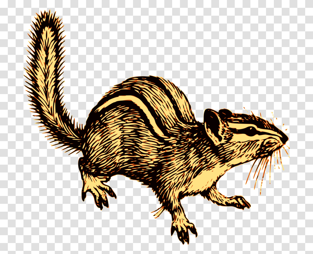 Chipmunk Squirrel Download Image Resolution, Bird, Animal, Mammal, Rodent Transparent Png