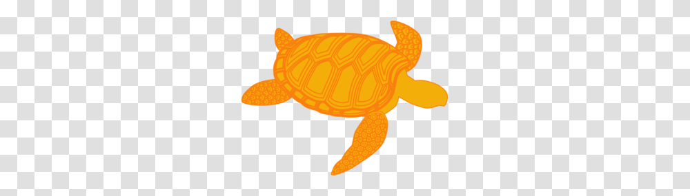 Chippy Clip Art, Turtle, Reptile, Sea Life, Animal Transparent Png