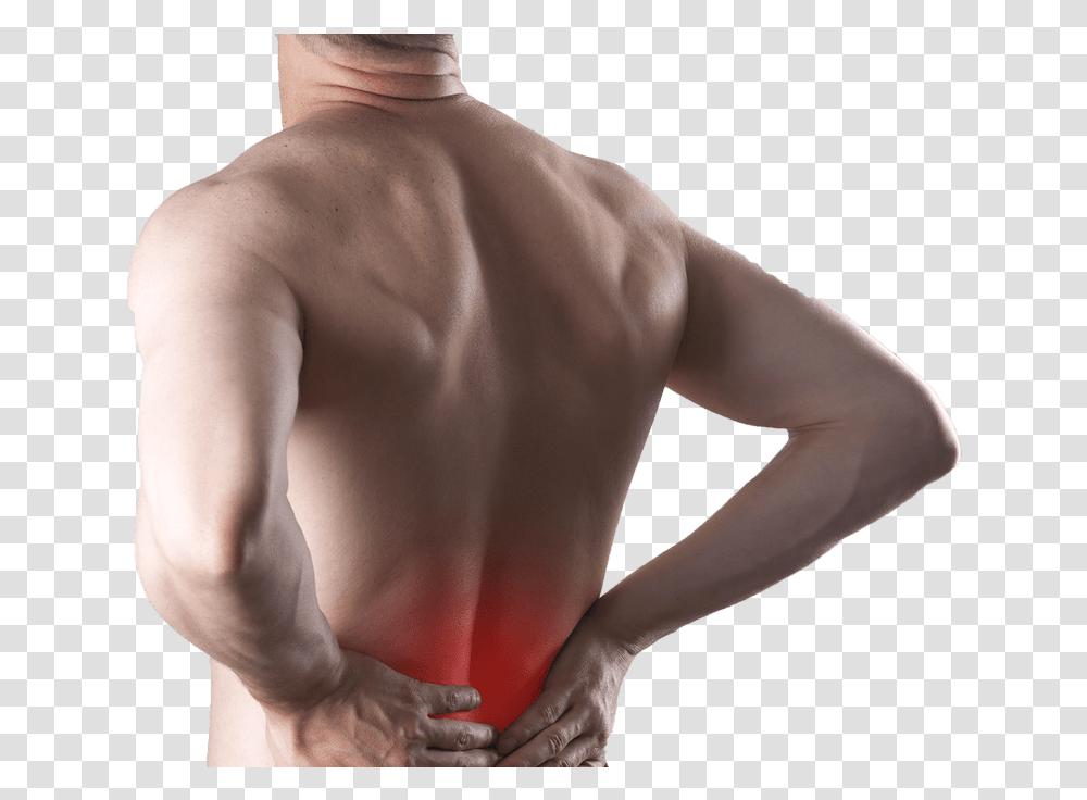 Chiropractor Broomfield Co Back Pain, Person, Human, Shoulder, Finger Transparent Png