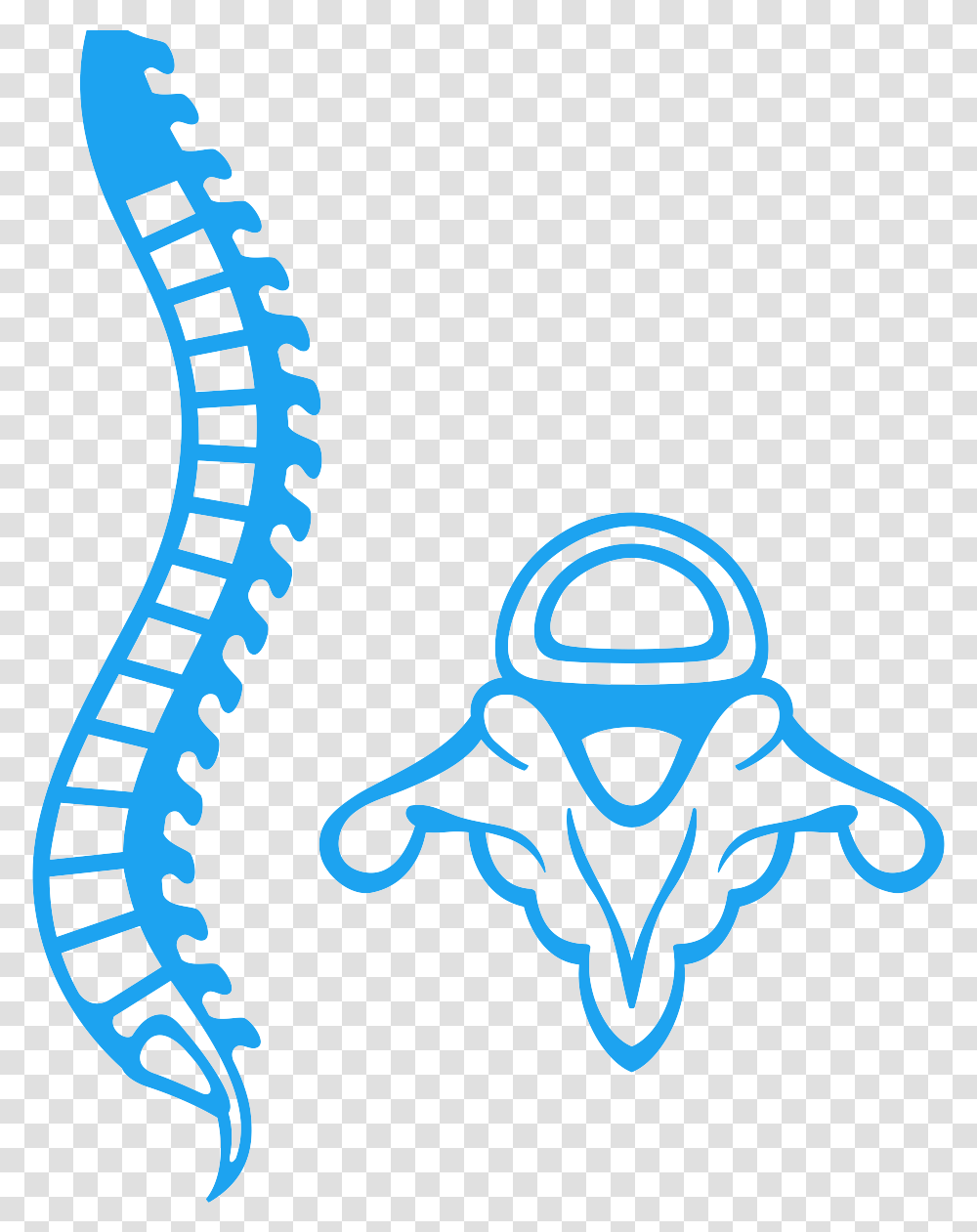 Chiropractor Sandton Spine Medula Vector Transparent Png