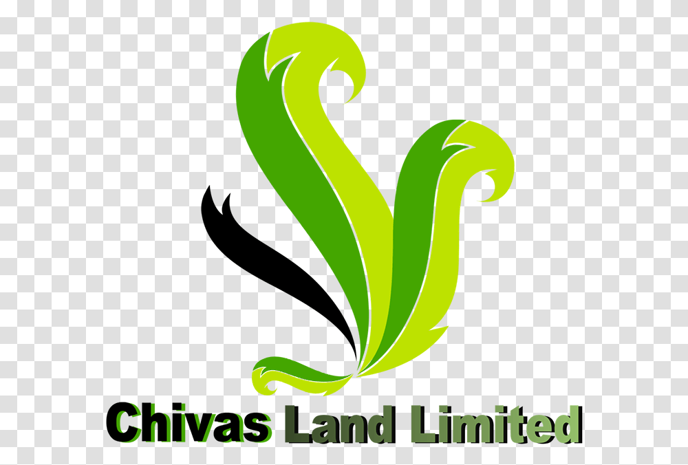 Chivas Land Limited Calligraphy, Banana, Fruit, Plant, Food Transparent Png