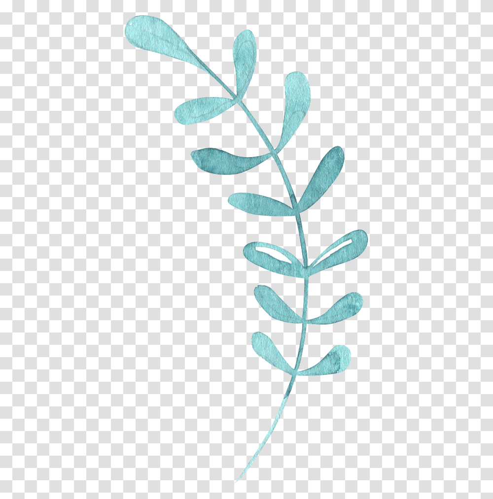 Chlorophyta, Plant, Astragalus, Flower, Blossom Transparent Png