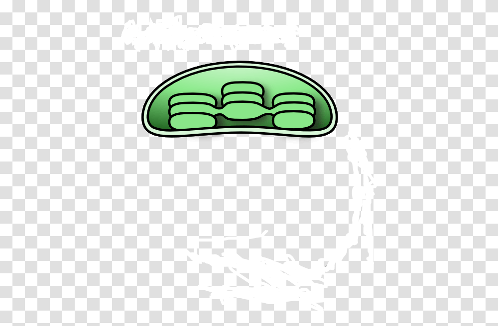 Chloroplast Clip Art, Teeth, Mouth, Mustache Transparent Png