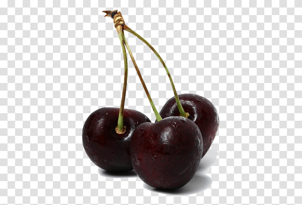 Chock Full Of Cherriesimg Vino Mac Lip Liner, Plant, Fruit, Food, Cherry Transparent Png
