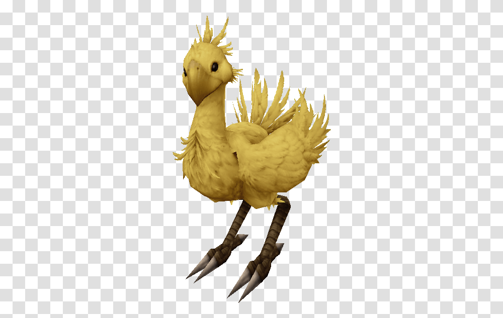 Chocobo Final Fantasy Animals Chocobo, Bird, Poultry, Fowl, Turkey Bird Transparent Png