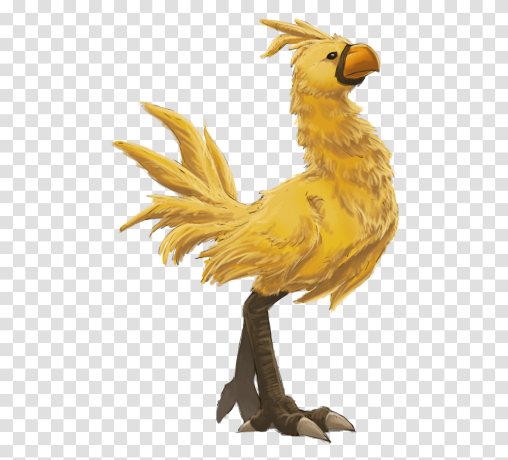 Chocobo Finalfantasy Bird Freetoedit Bird Videogameyellow Fantasy Bird, Animal, Chicken, Poultry, Fowl Transparent Png