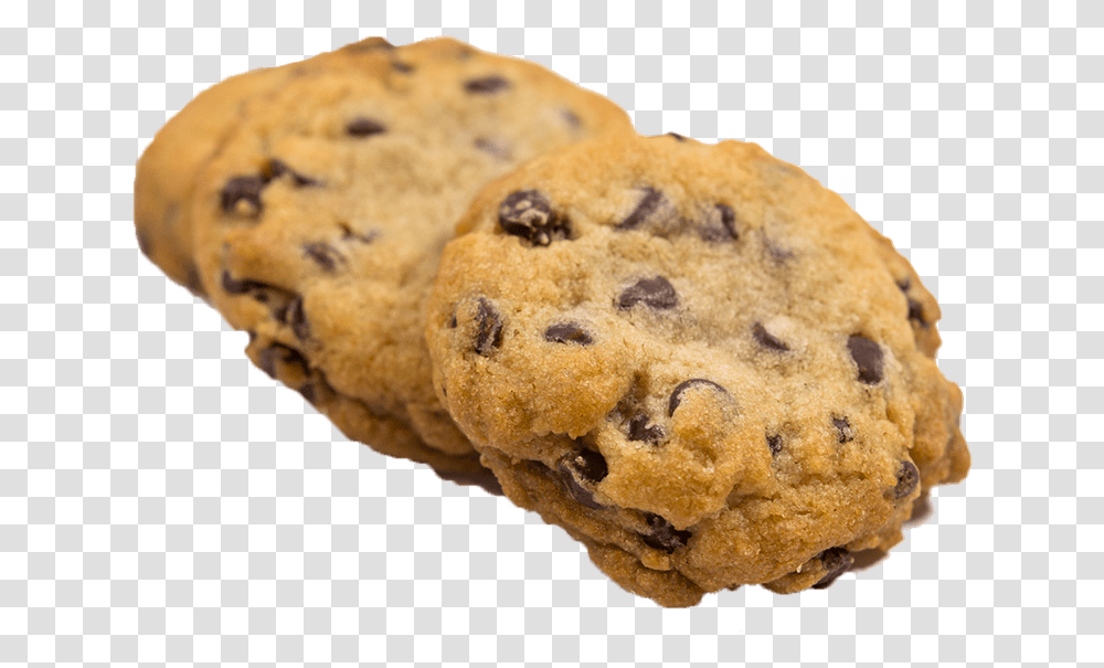 Chocolate Chip Cookie, Food, Biscuit, Bread, Fungus Transparent Png