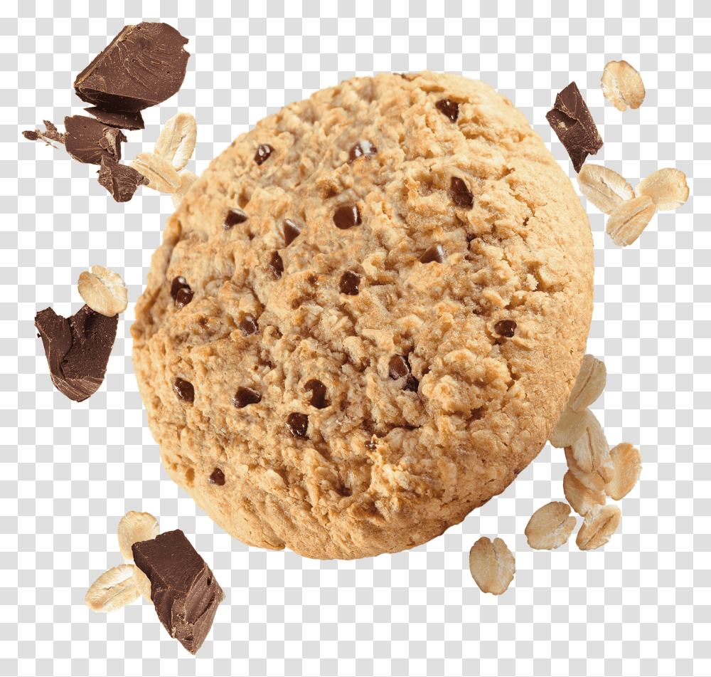 Chocolate Chip Cookie, Fungus, Food, Plant, Honey Bee Transparent Png