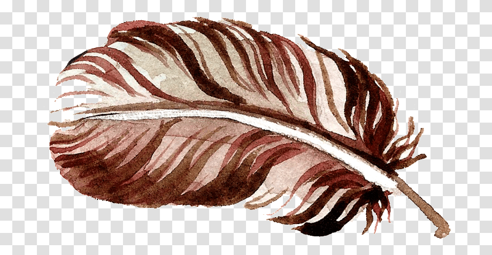 Chocolate Feather Free Flower, Accessories, Accessory, Jewelry, Sliced Transparent Png