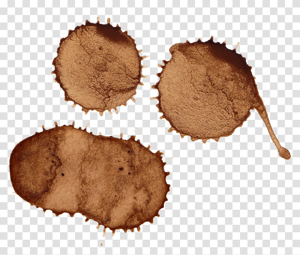 Chocolate, Fungus, Stain, Food Transparent Png