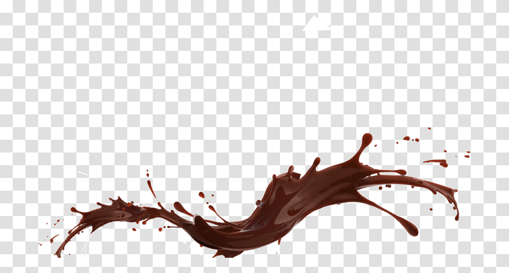 Chocolate, Lobster, Water Transparent Png