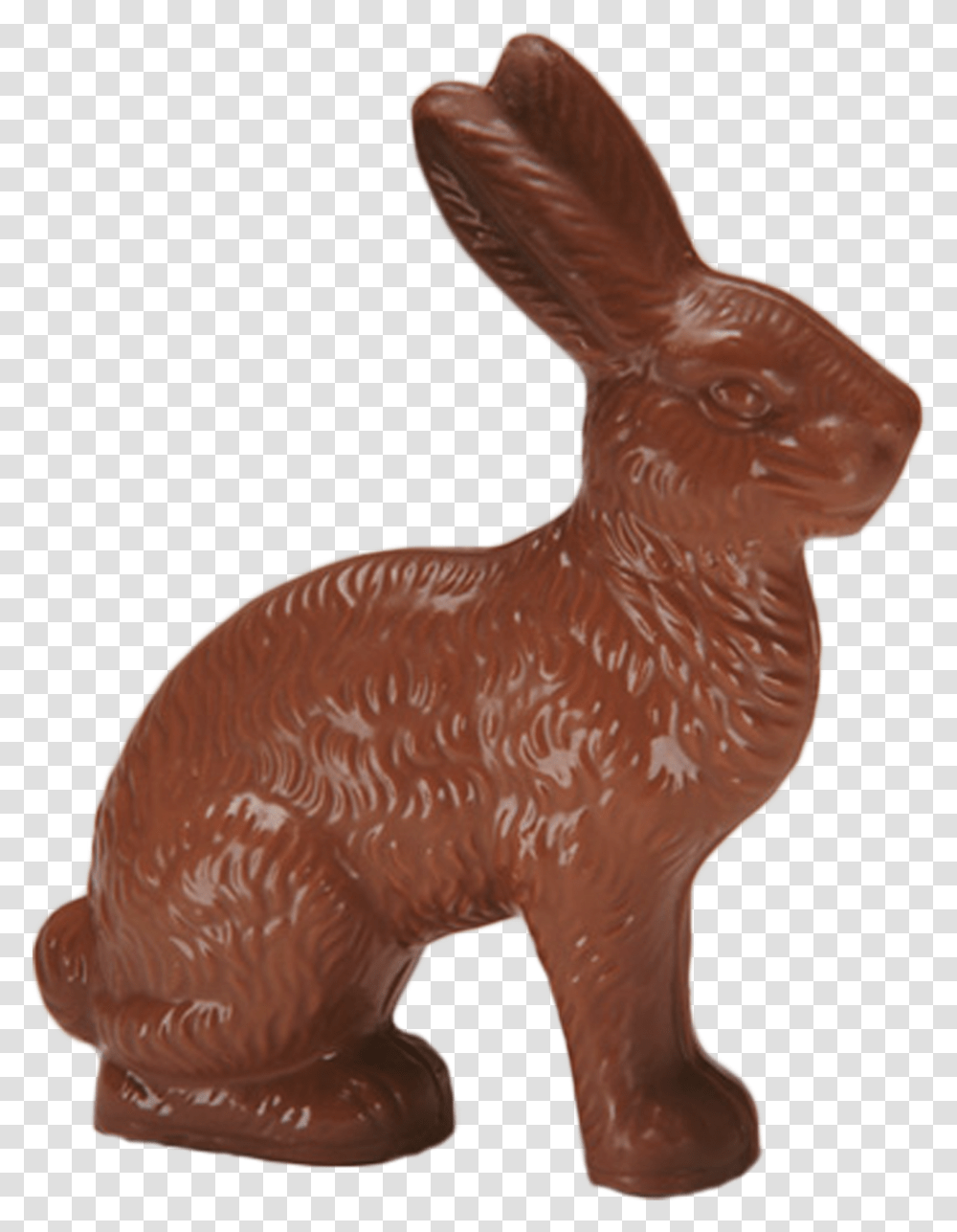 Chocolate Jack Rabbit Large Domestic Rabbit, Mammal, Animal, Rodent, Antelope Transparent Png