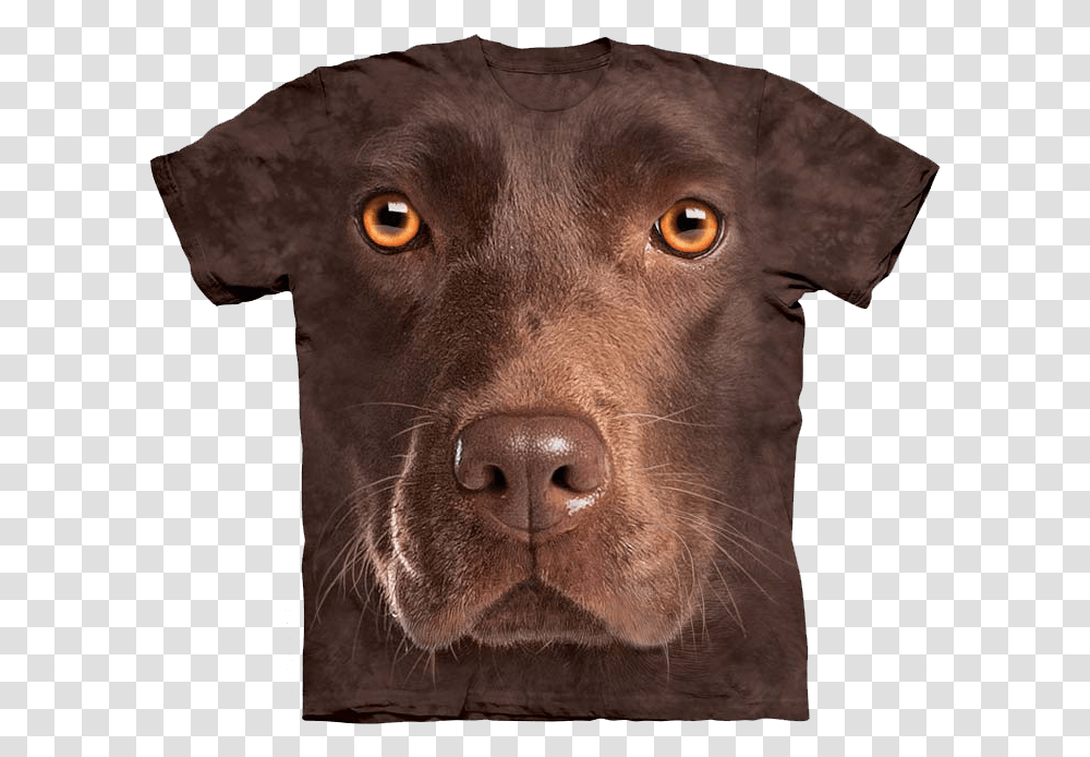 Chocolate Labrador T Shirt, Labrador Retriever, Dog, Pet, Canine Transparent Png