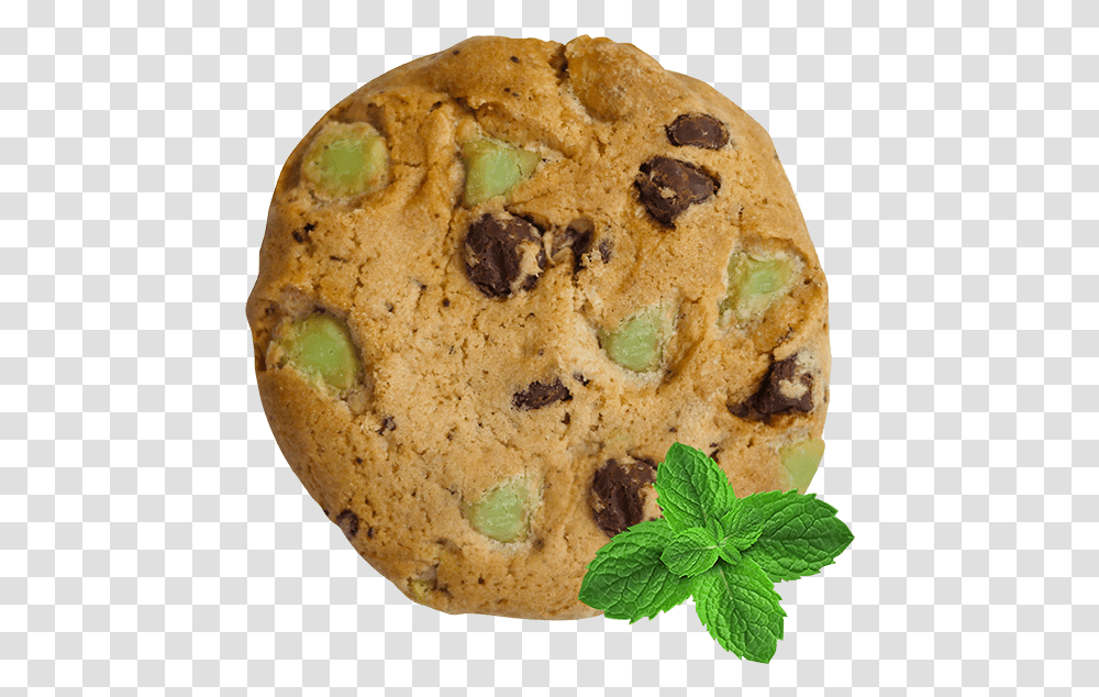 Chocolate Mint Cookies, Bread, Food, Potted Plant, Vase Transparent Png