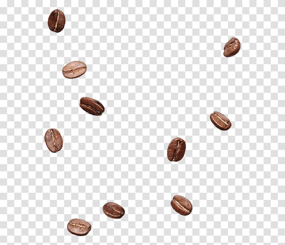Chocolate, Plant, Pecan, Seed, Nut Transparent Png