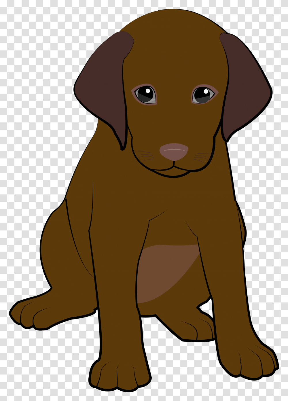 Chocolate Puppy Labrador Retriever, Dog, Pet, Canine, Animal Transparent Png