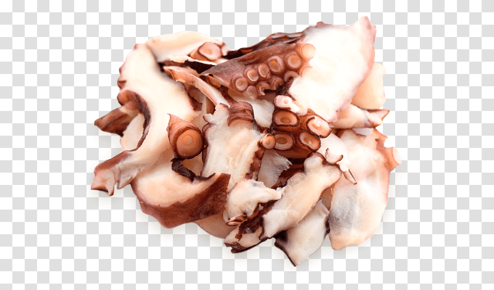 Chocolate, Sea Life, Animal, Invertebrate, Octopus Transparent Png