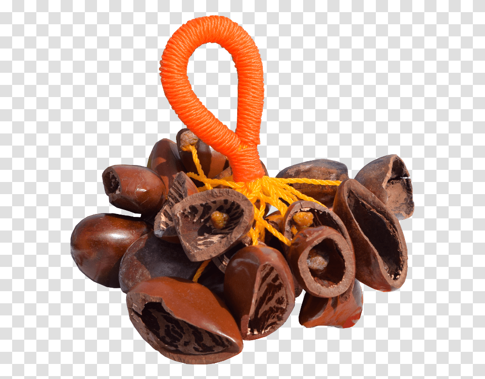 Chocolate, Sweets, Food, Snake, Animal Transparent Png