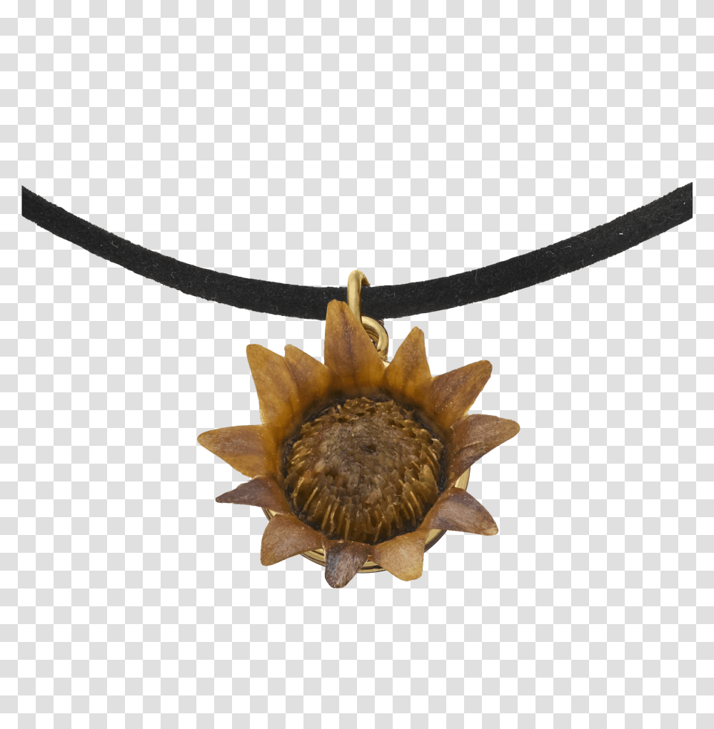 Choker Necklace With Blessing Flower Locket, Pendant, Accessories, Accessory, Jewelry Transparent Png