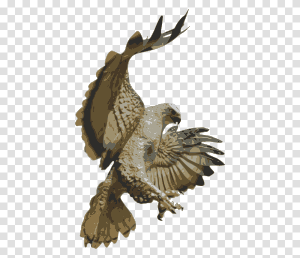 Choochus Hawk Pouncing, Animals, Bird, Eagle Transparent Png