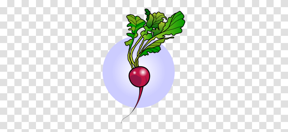 Chris Clipart, Plant, Vegetable, Food, Produce Transparent Png