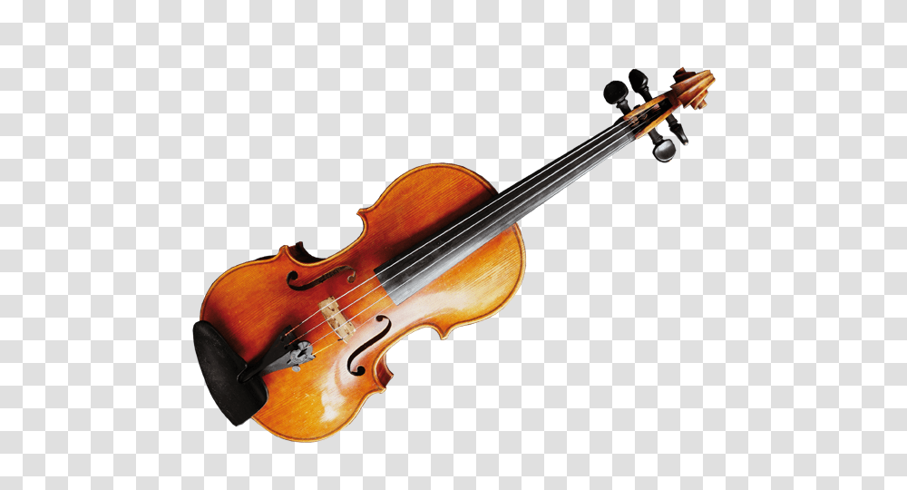 Chris Hein Solo Violin Extended Best Service, Leisure Activities, Musical Instrument, Viola, Fiddle Transparent Png
