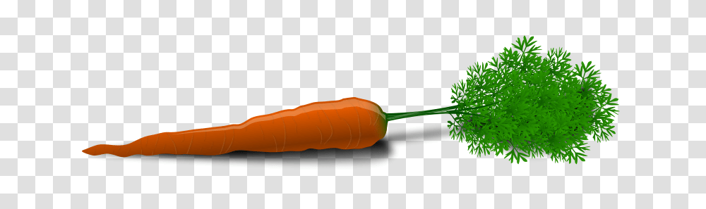 Chrisdesign Carrot, Nature, Plant, Vegetable, Food Transparent Png