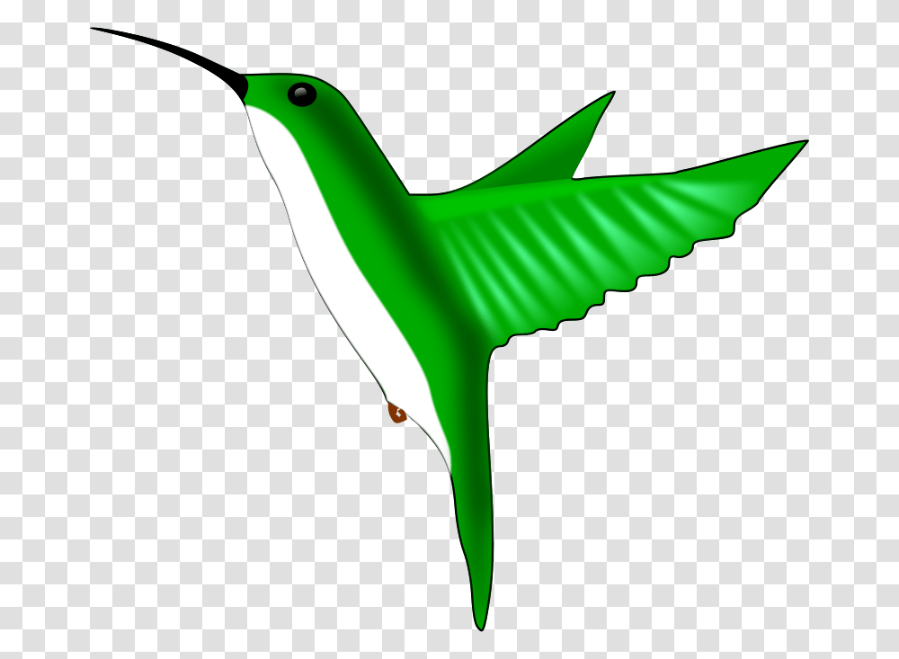 Chrisdesign Hummingbird, Nature, Animal, Flying, Transportation Transparent Png