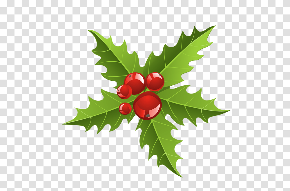 Chrismtmas Mistletoe Element Picture Shablon, Leaf, Plant, Tree, Maple Leaf Transparent Png