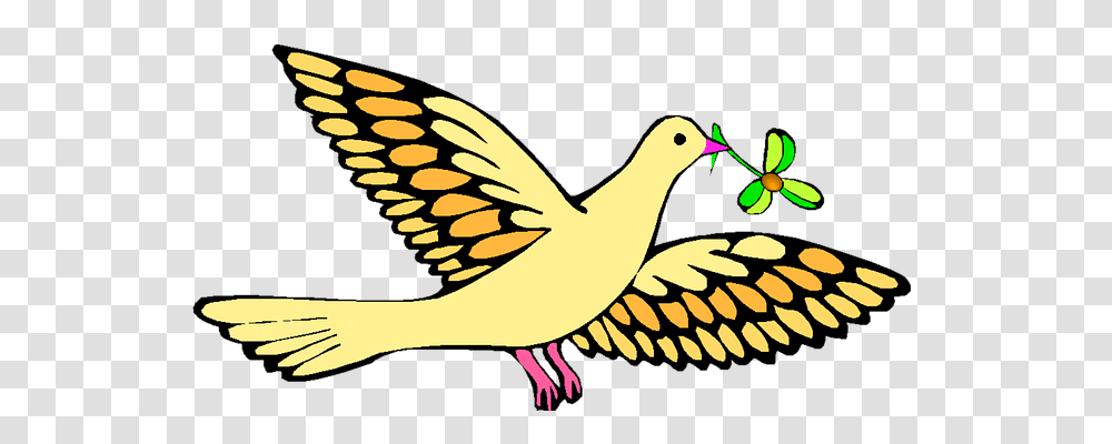 Christian Religion, Bird, Animal, Dove Transparent Png