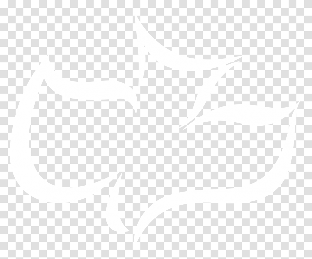 Christian Dove, White, Texture, White Board Transparent Png