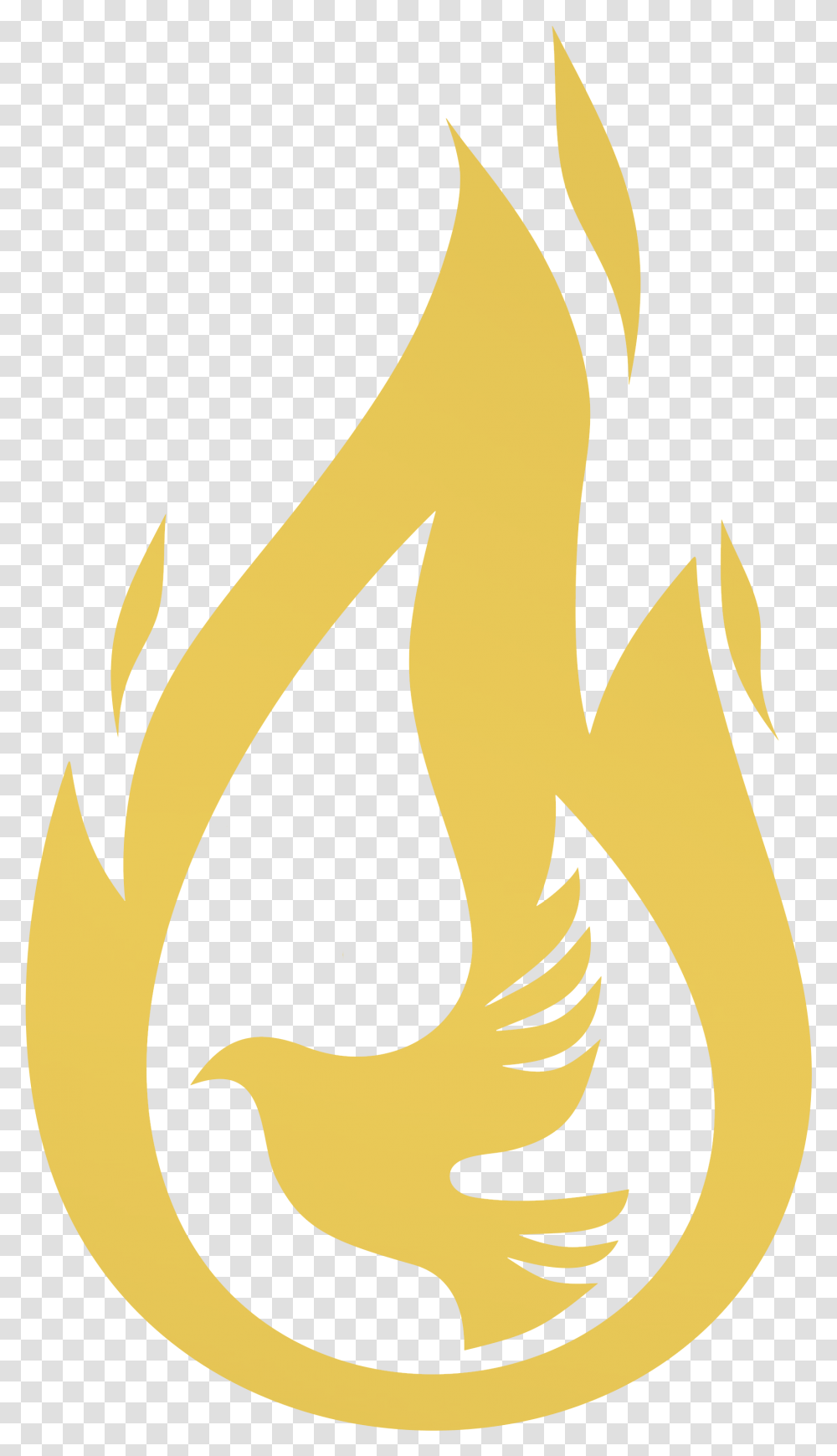 Christian Mystic Visionary Artist Holy Spirit Fire Vector, Text, Label, Flame Transparent Png