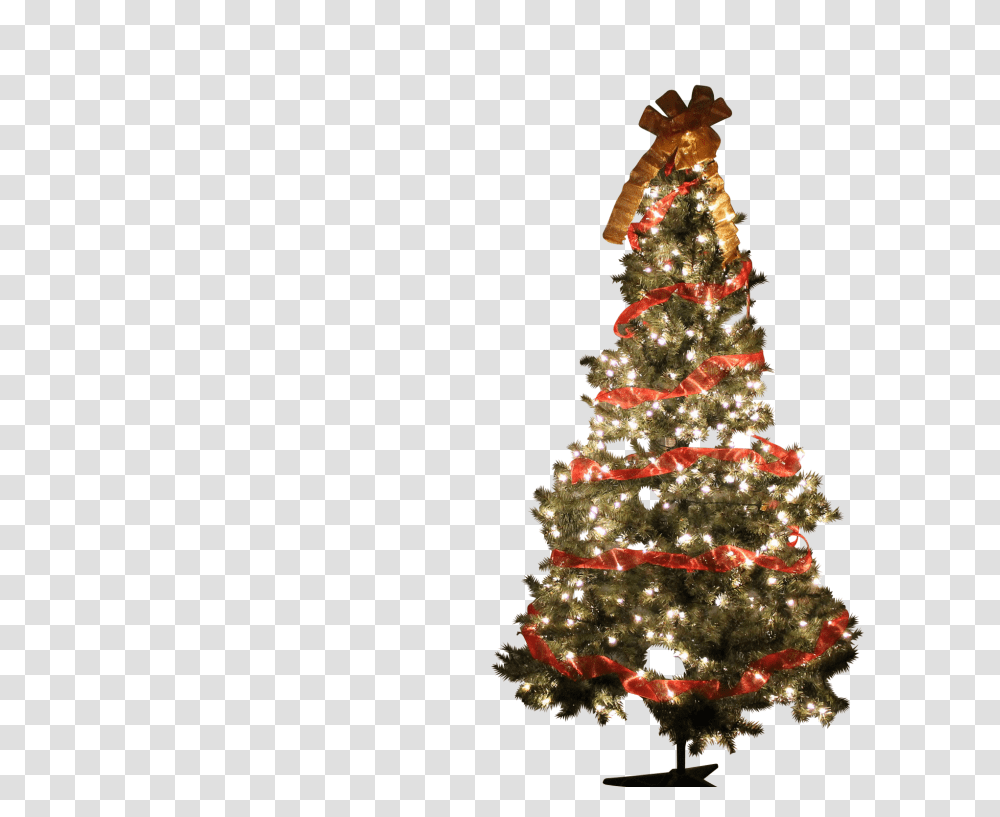 Christmas Clip, Holiday, Tree, Plant, Christmas Tree Transparent Png