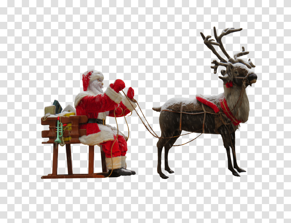 Christmas Holiday, Elk, Deer, Wildlife Transparent Png