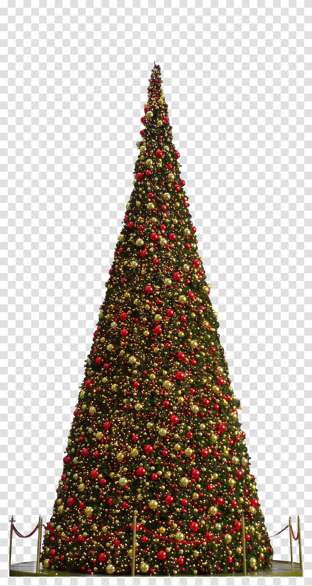 Christmas Clip, Holiday, Christmas Tree, Ornament, Plant Transparent Png