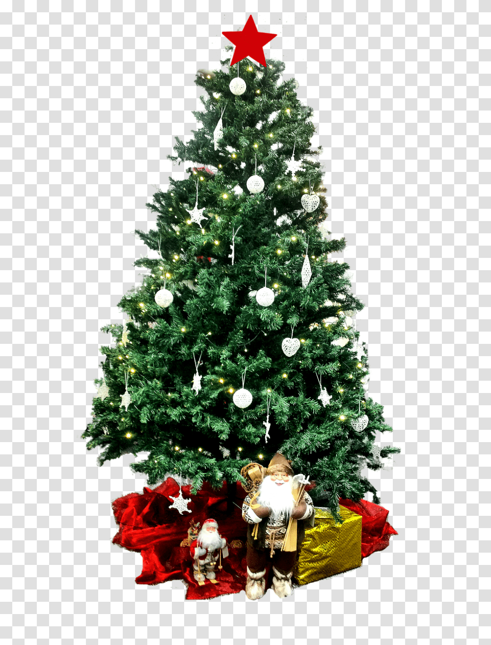 Christmas Holiday, Christmas Tree, Ornament, Plant Transparent Png