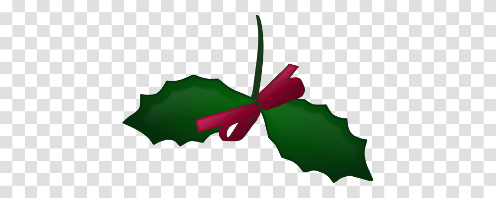 Christmas Holiday, Plant, Leaf, Flower Transparent Png