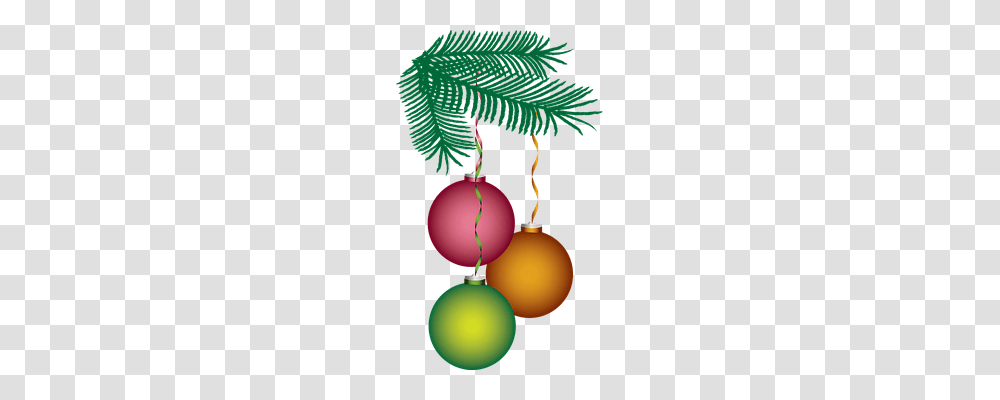 Christmas Holiday, Tree, Plant, Ornament Transparent Png