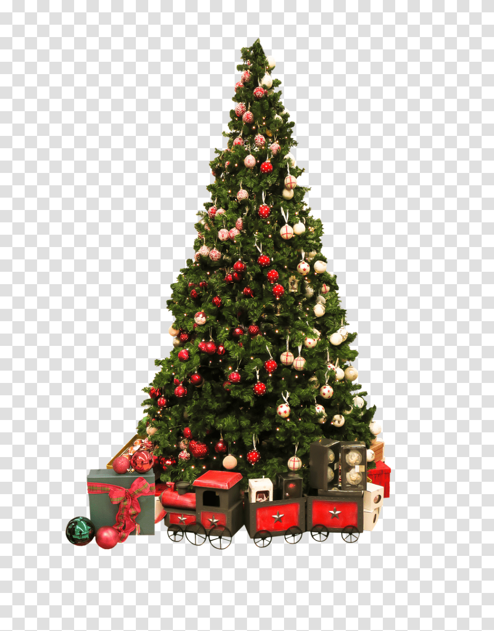 Christmas Holiday, Christmas Tree, Ornament, Plant Transparent Png