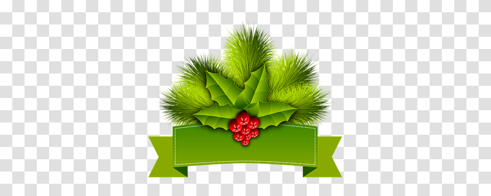 Christmas Holiday, Plant, Green, Bush Transparent Png