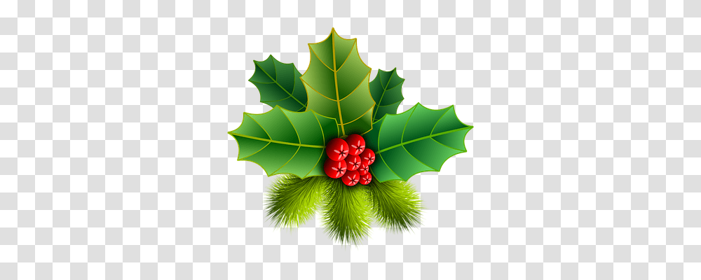 Christmas Holiday, Leaf, Plant, Tree Transparent Png