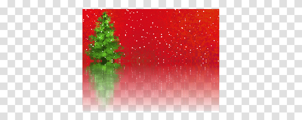 Christmas Tree, Plant, Ornament, Christmas Tree Transparent Png