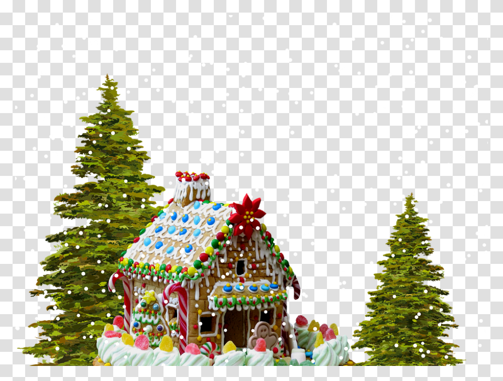 Christmas 960, Holiday, Plant, Tree, Cookie Transparent Png