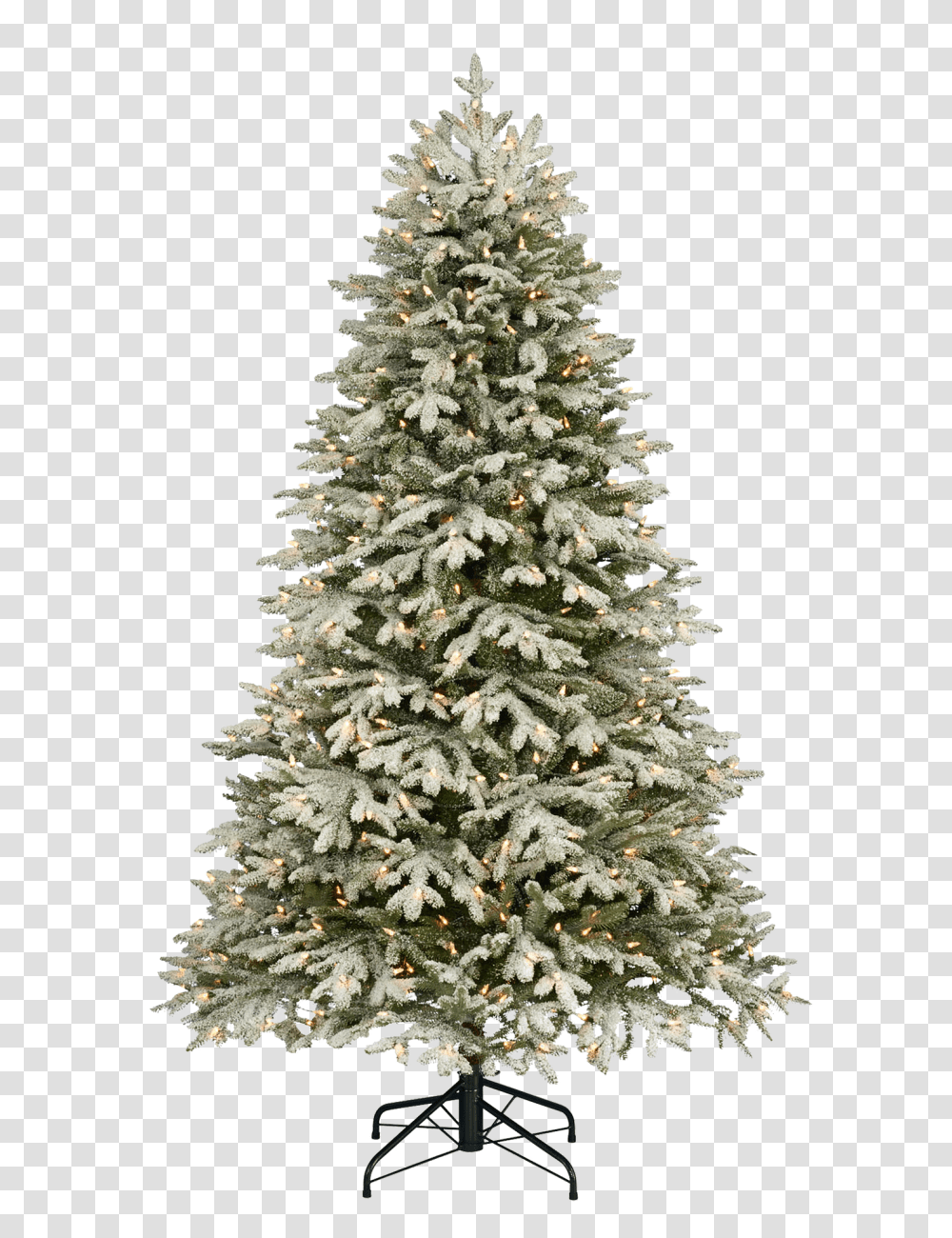 Christmas Holiday, Tree, Plant, Christmas Tree Transparent Png