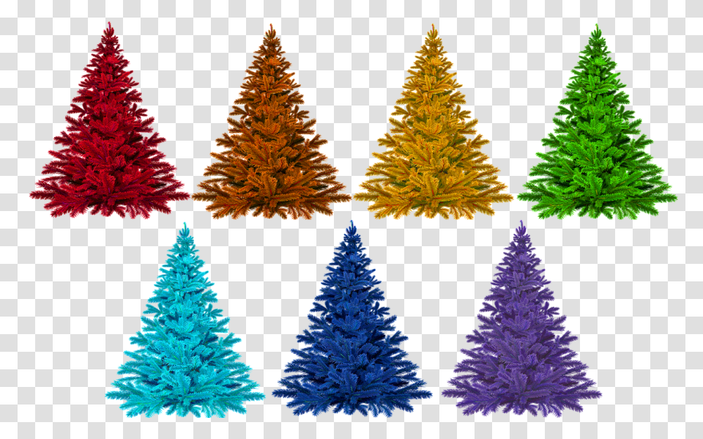 Christmas Holiday, Tree, Plant, Christmas Tree Transparent Png