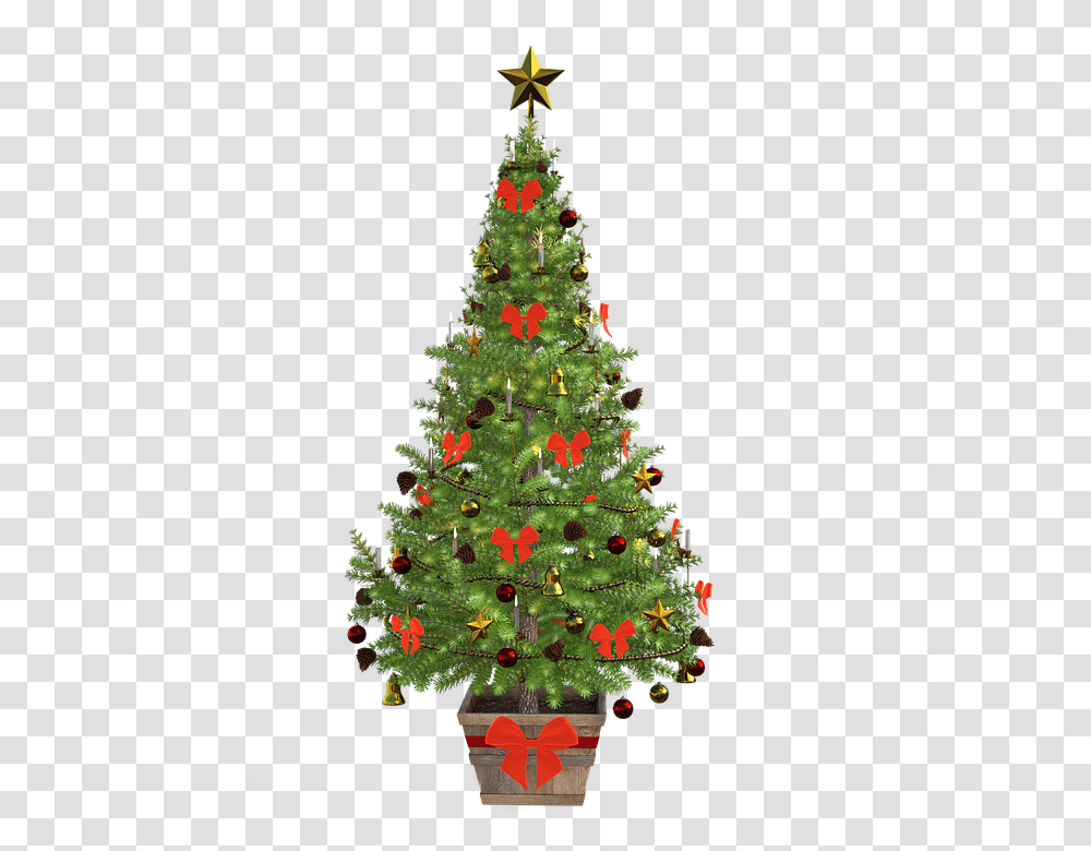 Christmas 960, Holiday, Christmas Tree, Ornament, Plant Transparent Png