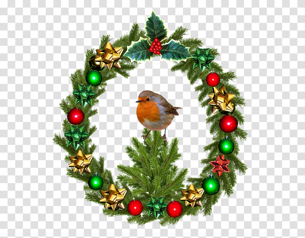 Christmas 960, Holiday, Bird, Animal, Tree Transparent Png