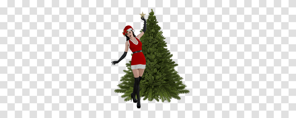 Christmas Person, Tree, Plant, Conifer Transparent Png