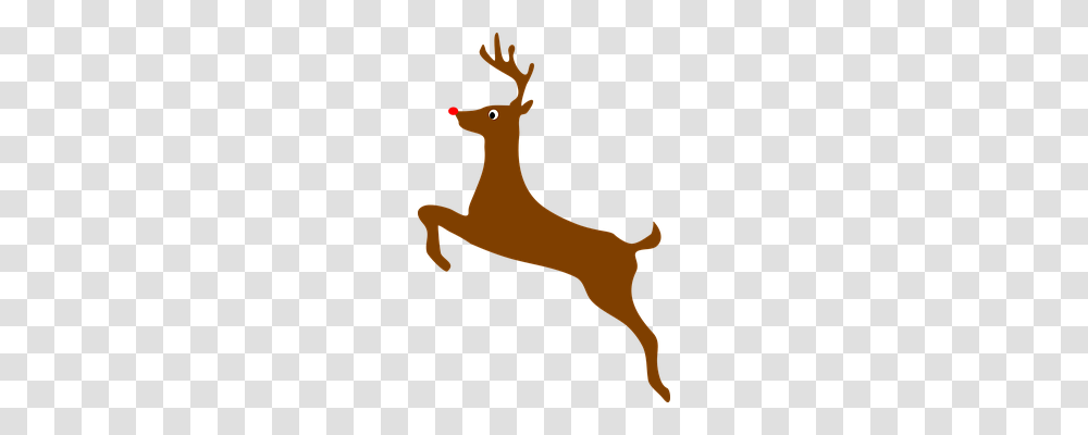 Christmas Holiday, Deer, Wildlife, Mammal Transparent Png